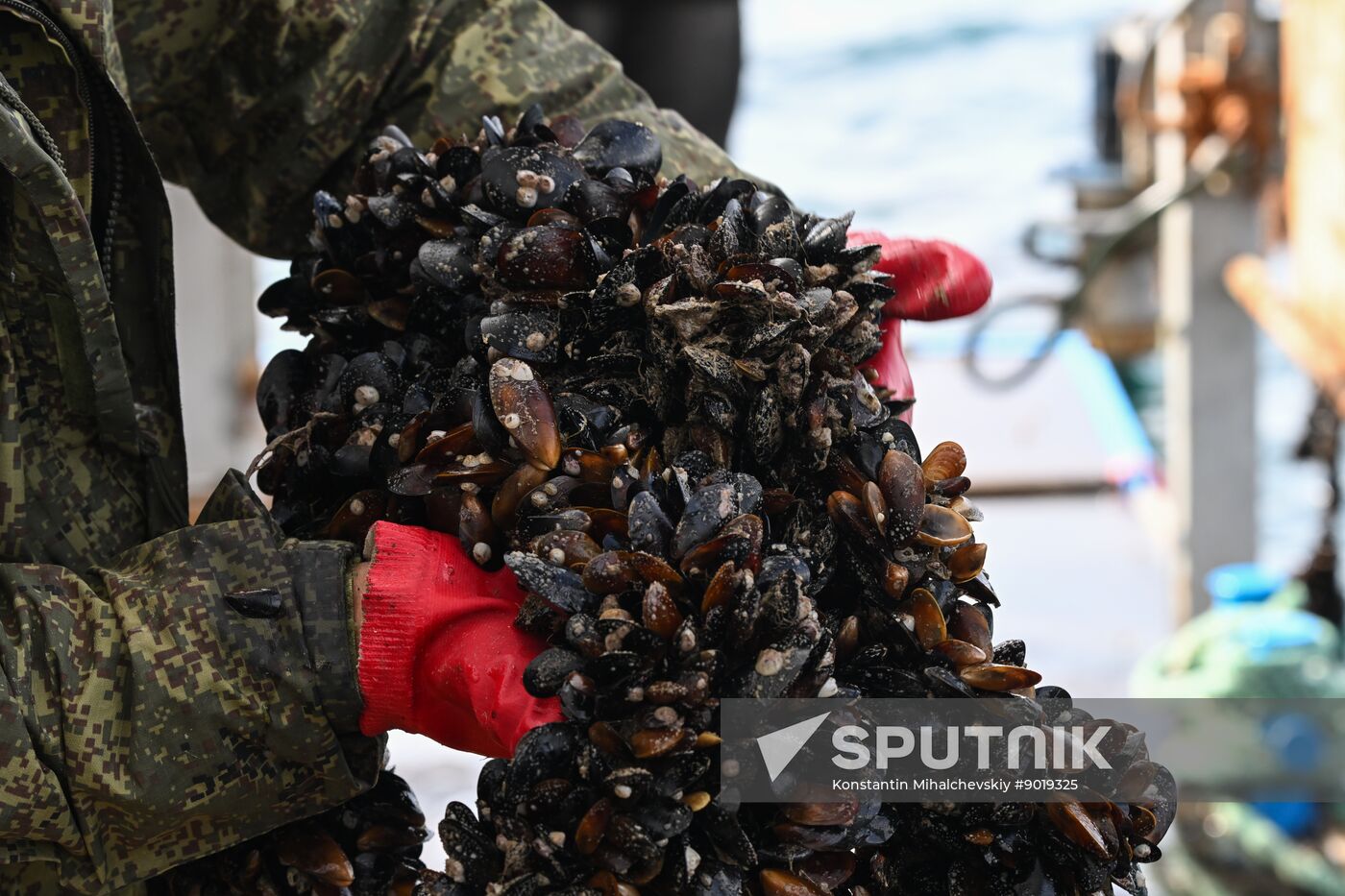 Russia Crimea Aquaculture
