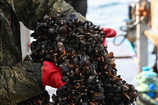Russia Crimea Aquaculture