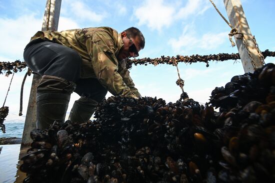 Russia Crimea Aquaculture
