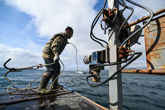 Russia Crimea Aquaculture