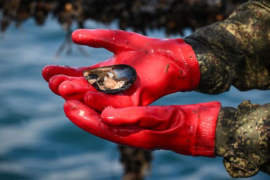 Russia Crimea Aquaculture