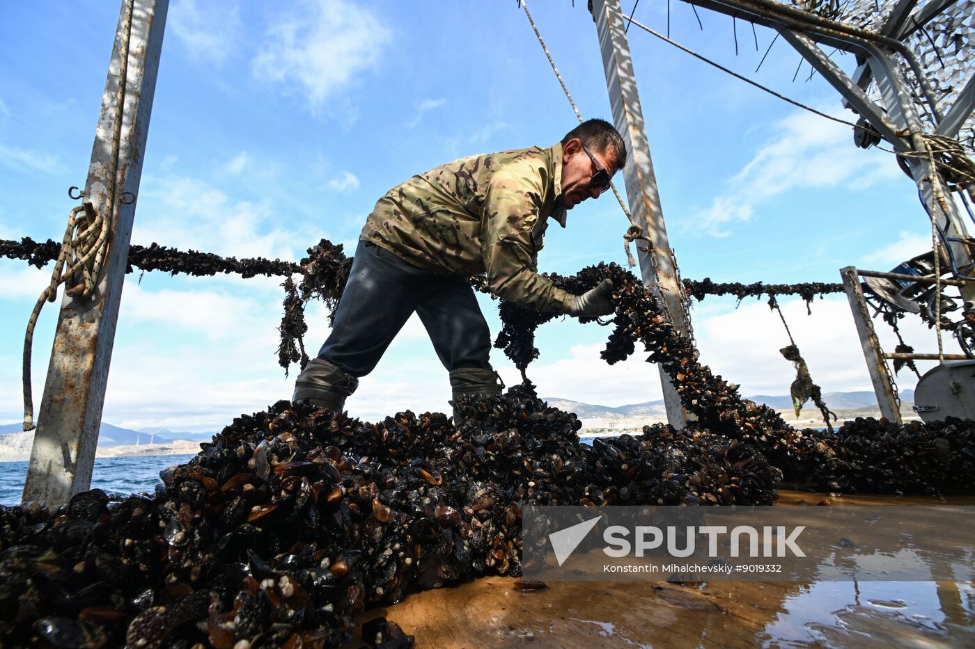 Russia Crimea Aquaculture
