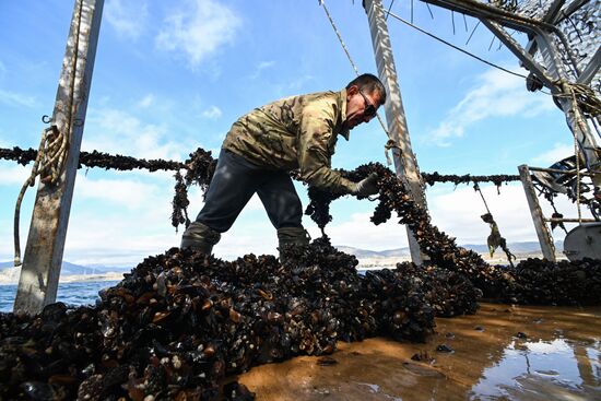 Russia Crimea Aquaculture