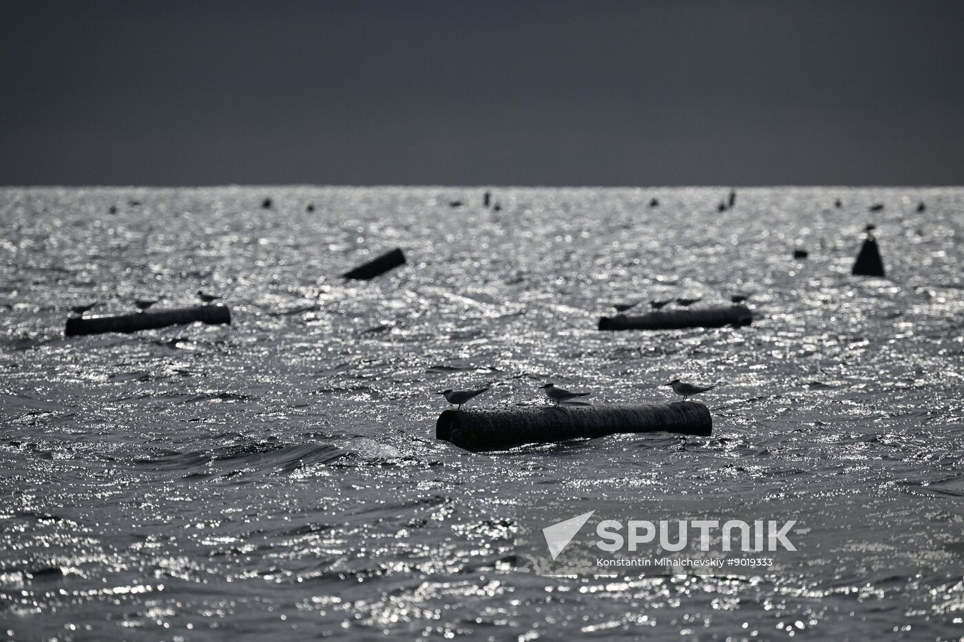 Russia Crimea Aquaculture