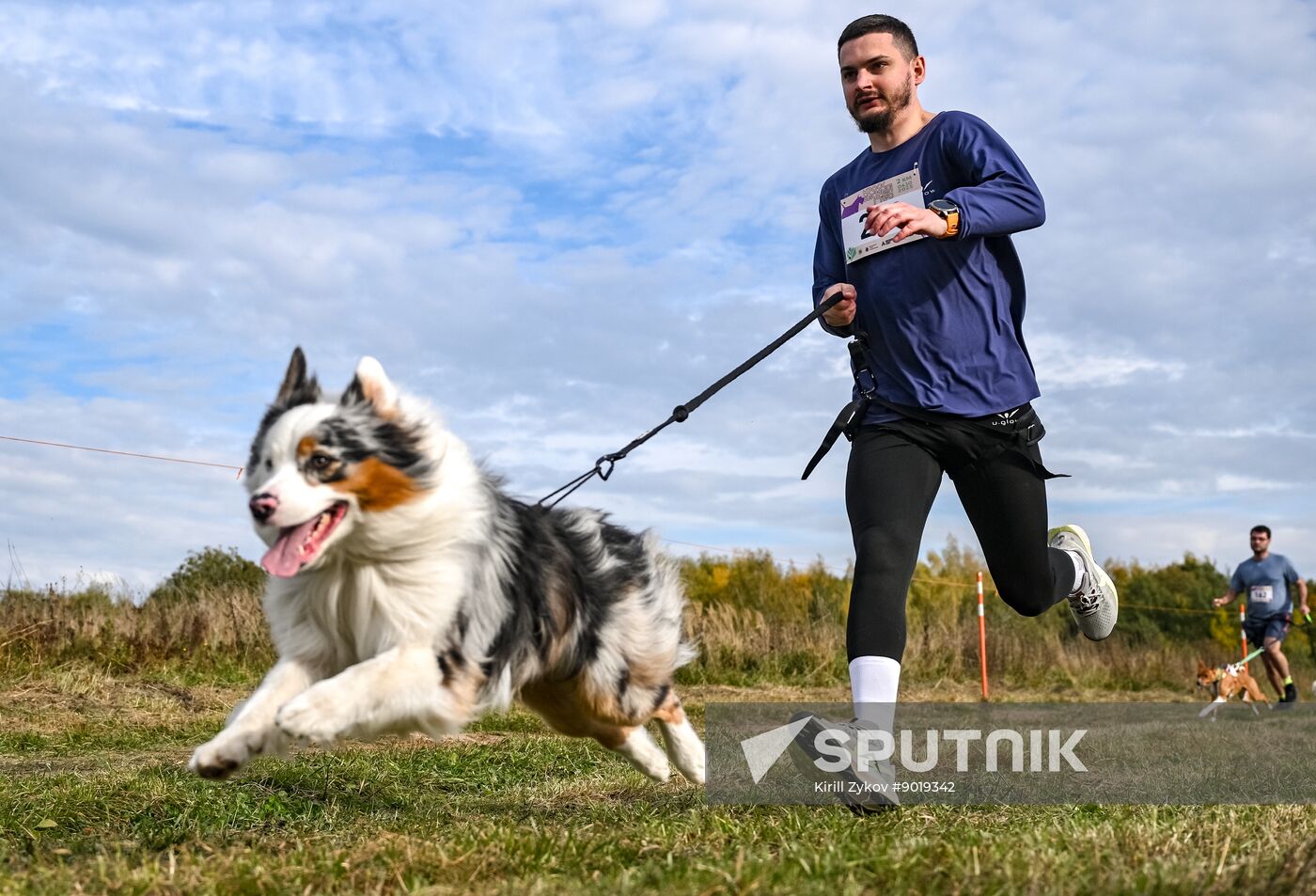 Russia Dog Run