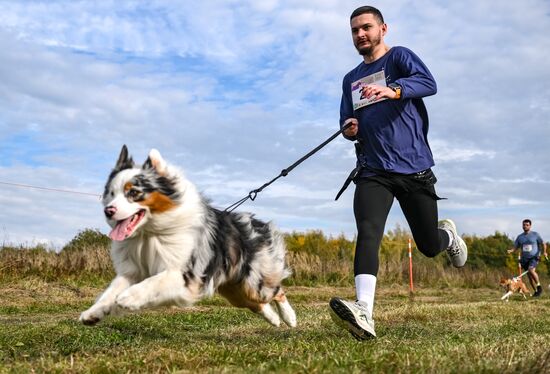 Russia Dog Run