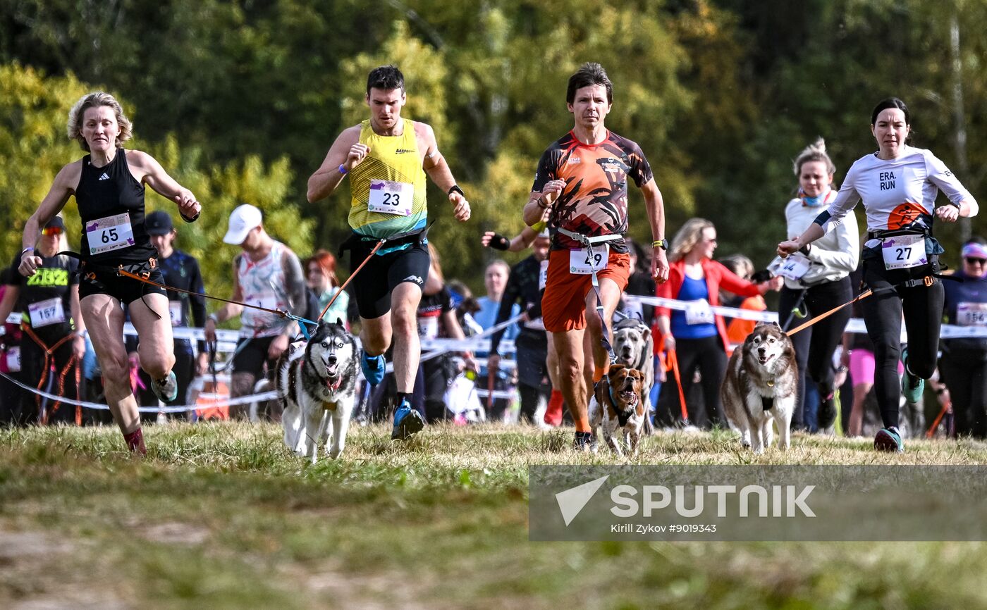 Russia Dog Run
