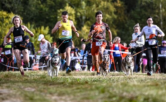 Russia Dog Run
