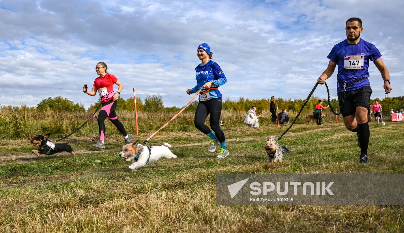 Russia Dog Run