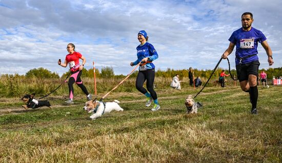 Russia Dog Run