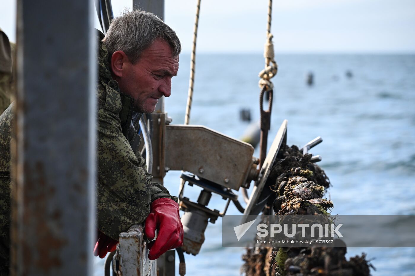 Russia Crimea Aquaculture