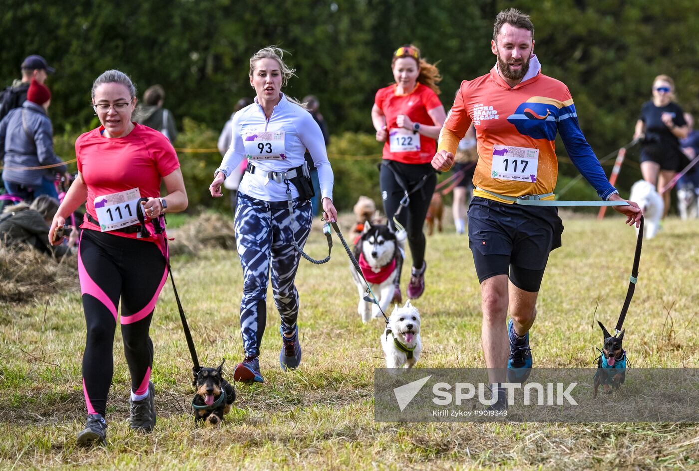 Russia Dog Run
