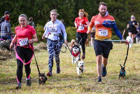 Russia Dog Run