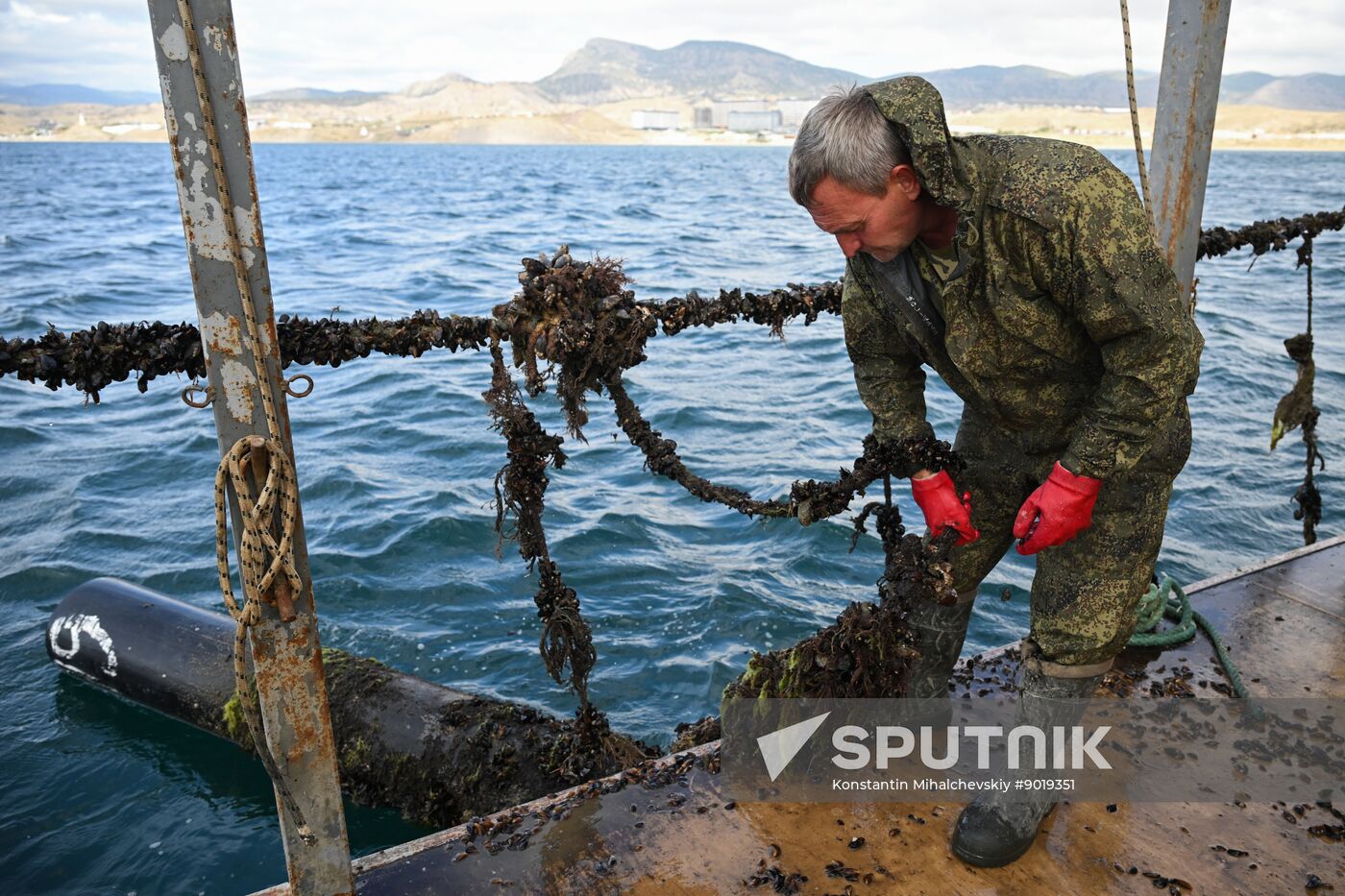 Russia Crimea Aquaculture