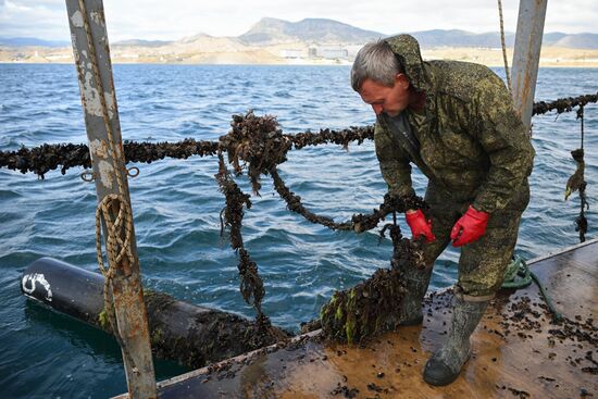 Russia Crimea Aquaculture