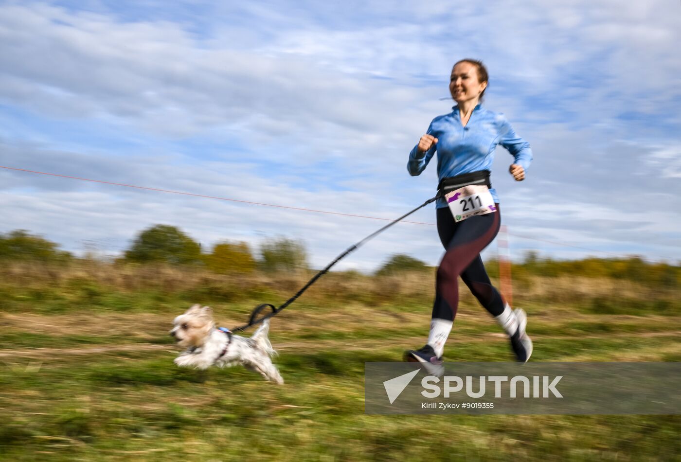 Russia Dog Run
