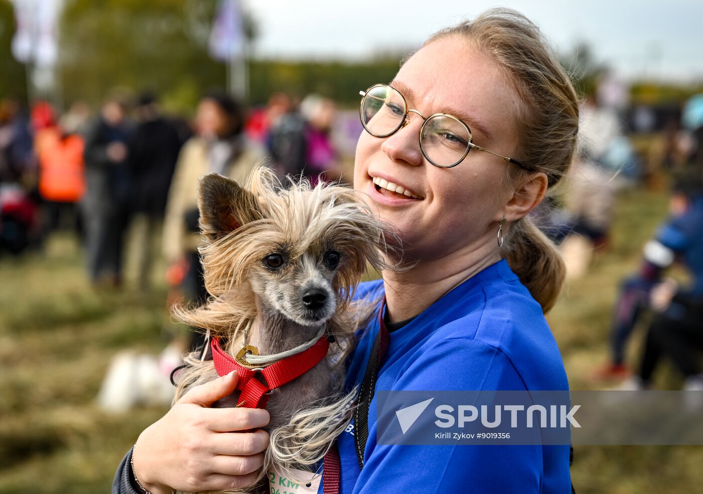 Russia Dog Run
