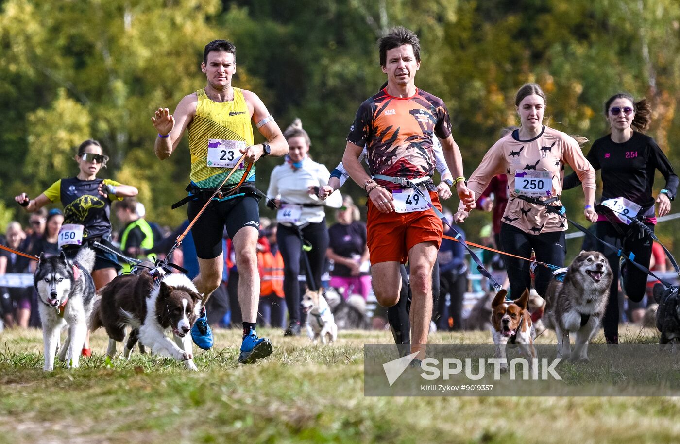 Russia Dog Run