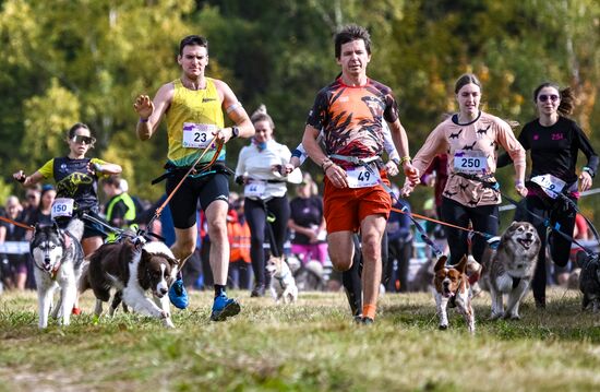 Russia Dog Run