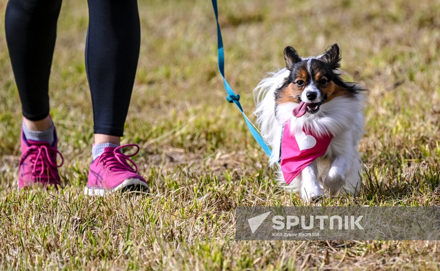 Russia Dog Run