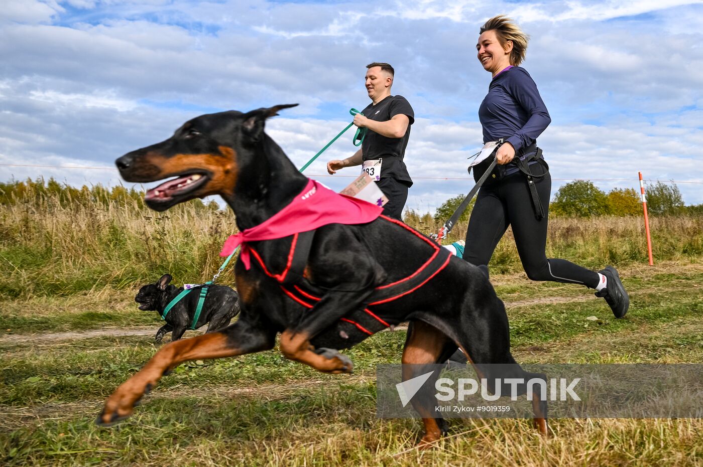 Russia Dog Run