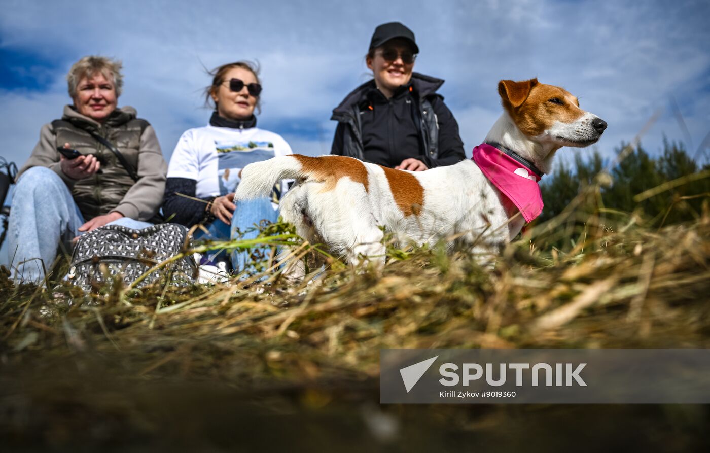 Russia Dog Run