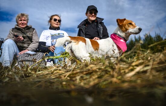 Russia Dog Run