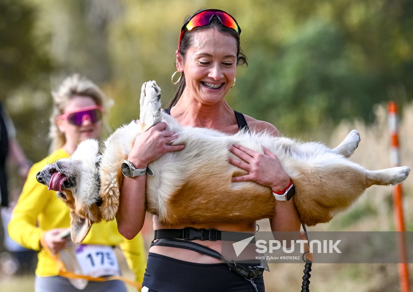 Russia Dog Run