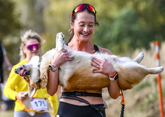 Russia Dog Run