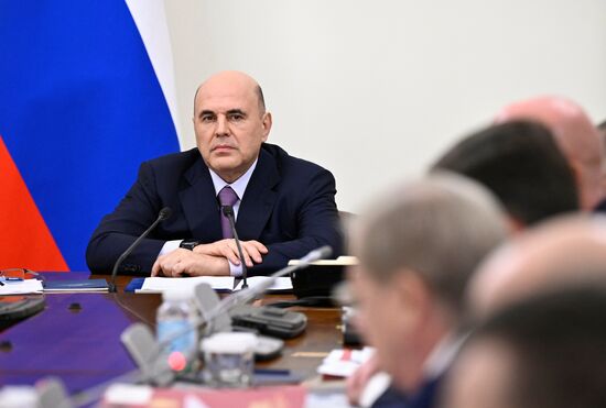 Russia Mishustin Deputies