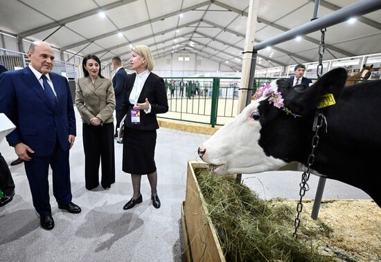 Russia Mishustin Agricultural Exhibition