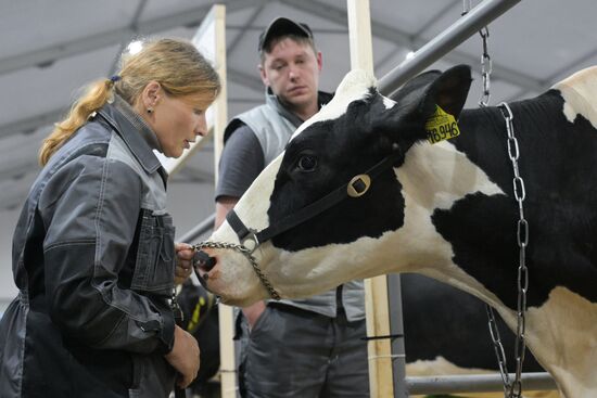 Russia Mishustin Agricultural Exhibition