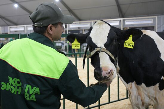 Russia Mishustin Agricultural Exhibition