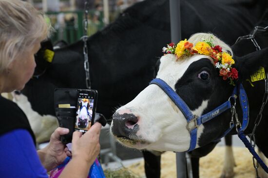 Russia Mishustin Agricultural Exhibition