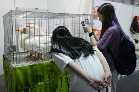 Russia Mishustin Agricultural Exhibition