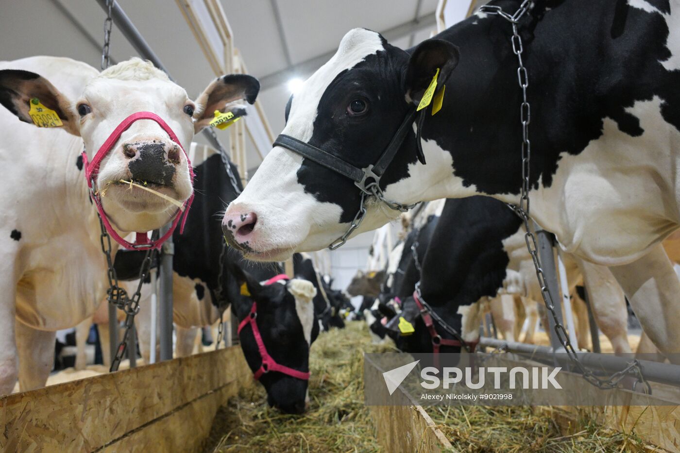 Russia Mishustin Agricultural Exhibition