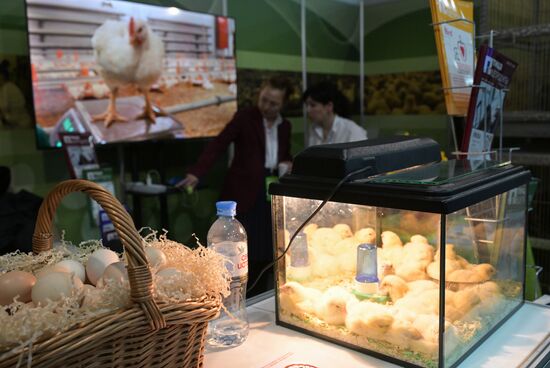 Russia Mishustin Agricultural Exhibition