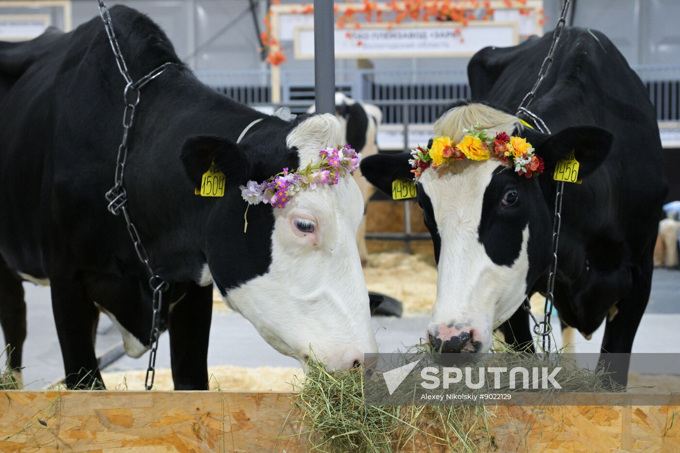 Russia Mishustin Agricultural Exhibition