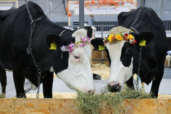 Russia Mishustin Agricultural Exhibition