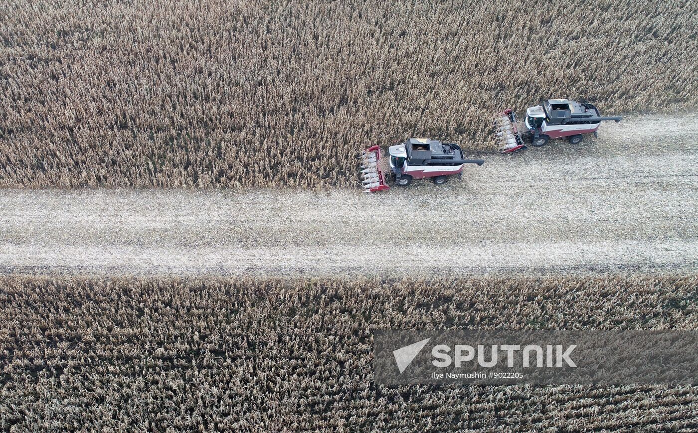 Russia Agriculture Farming