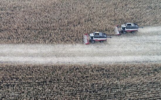 Russia Agriculture Farming