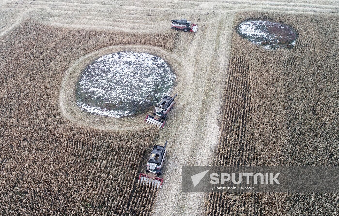 Russia Agriculture Farming