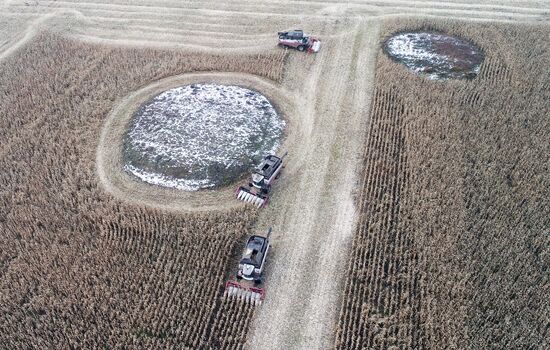 Russia Agriculture Farming