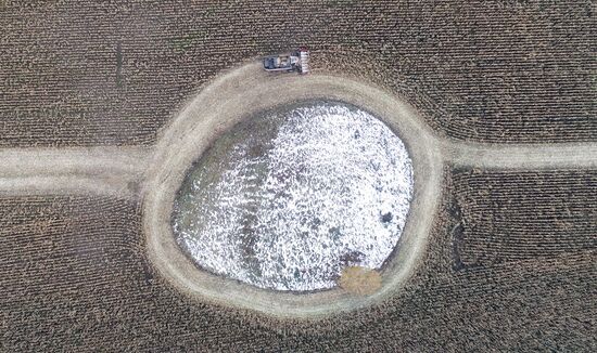 Russia Agriculture Farming