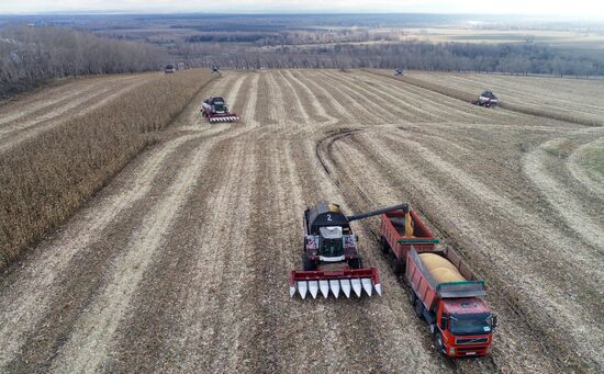 Russia Agriculture Farming