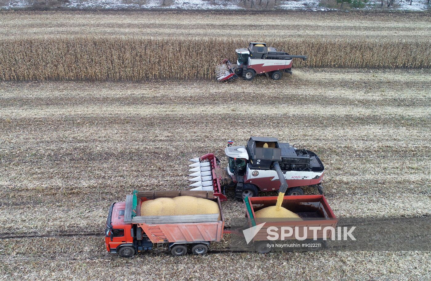 Russia Agriculture Farming