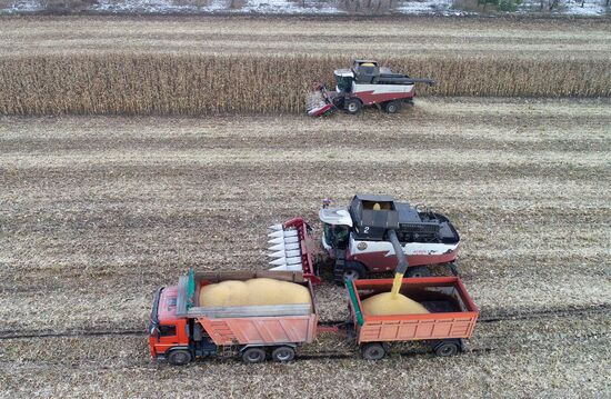 Russia Agriculture Farming