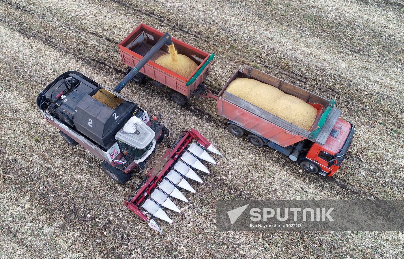 Russia Agriculture Farming