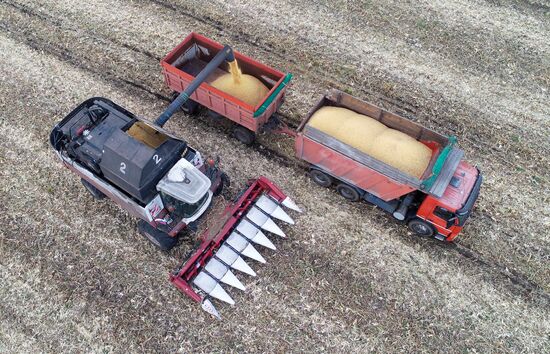Russia Agriculture Farming