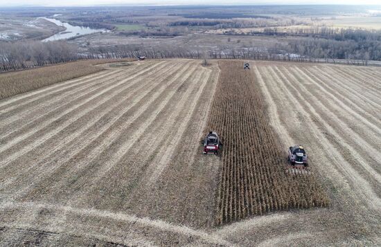 Russia Agriculture Farming